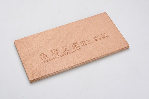 皇冠文盛-9.jpg