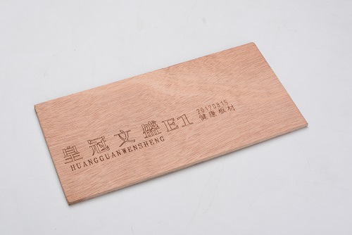 皇冠文盛-5.jpg