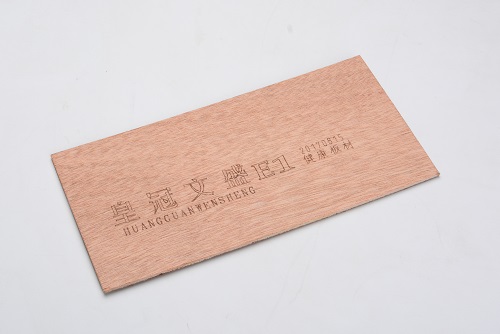 皇冠文盛-4.jpg