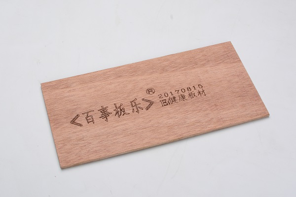 单张 (14).jpg