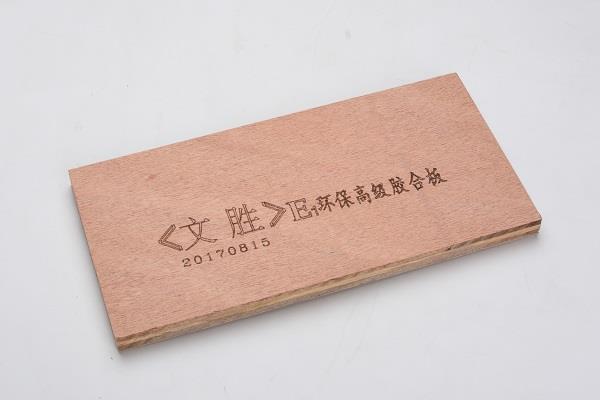 文胜【12厘】