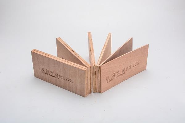 皇冠文盛系列侧面展示